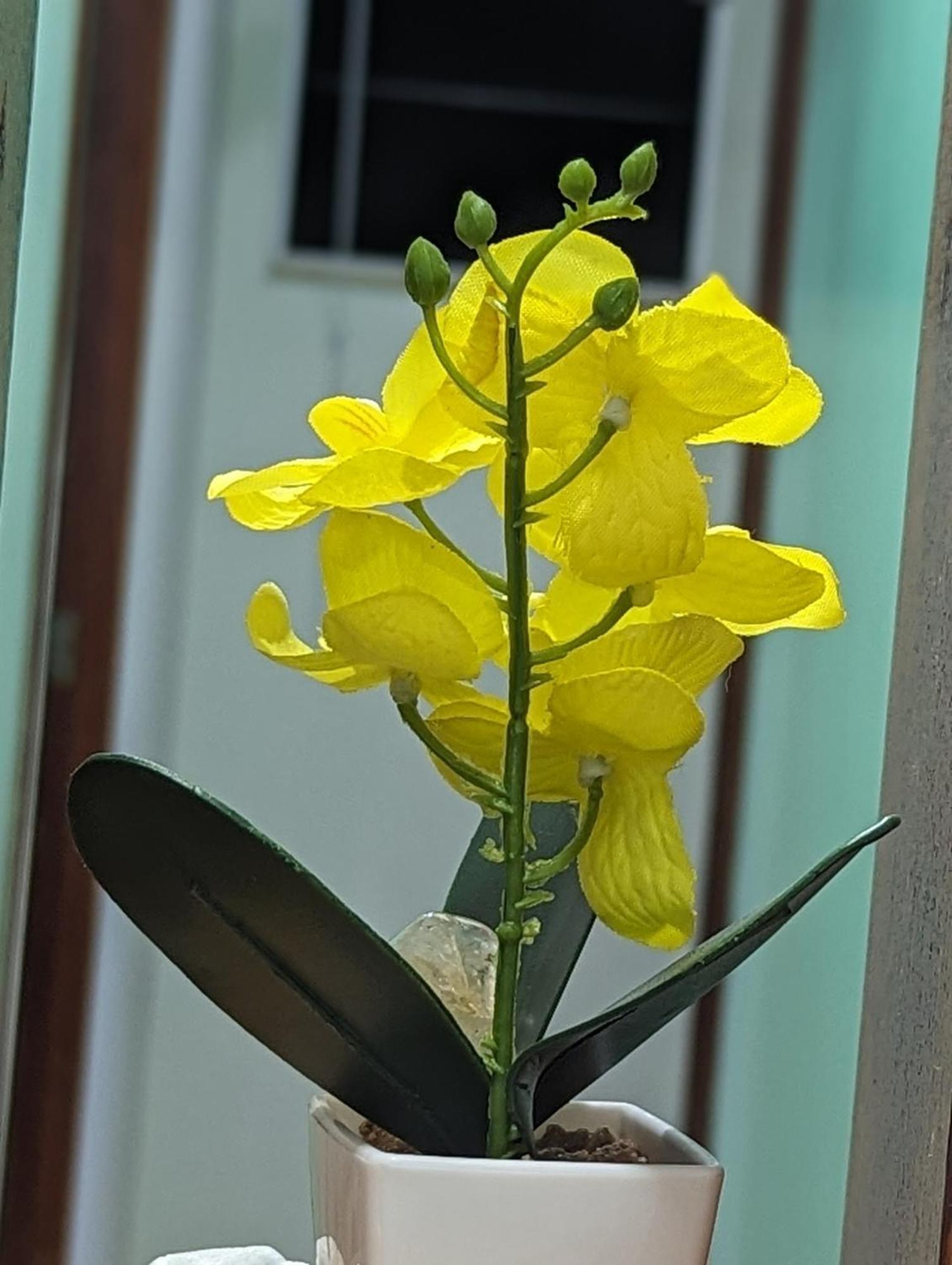Bernardini House Villa Кабо Фрио Екстериор снимка